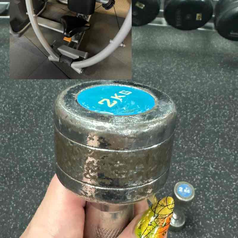 я за ЖИЗНЬ Julia Gerber post image