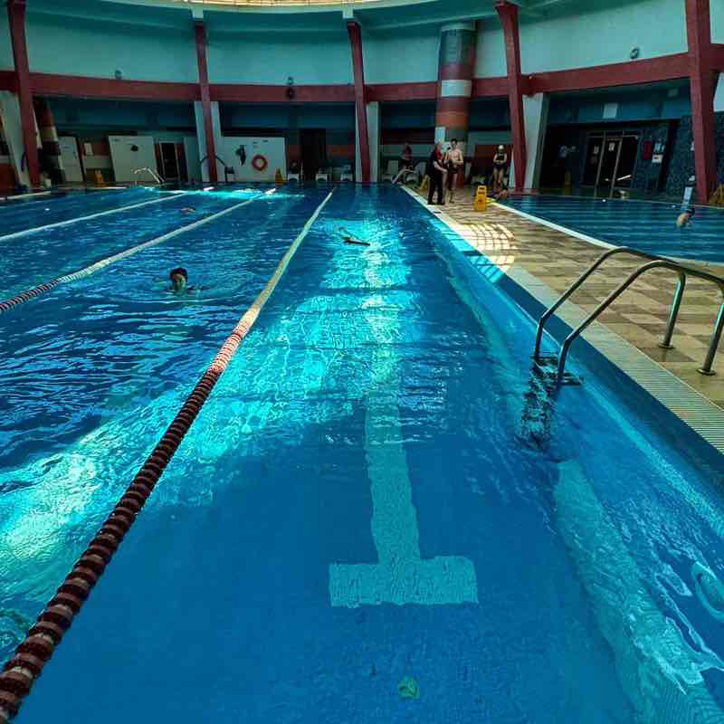 я за ЖИЗНЬ Julia Gerber post image