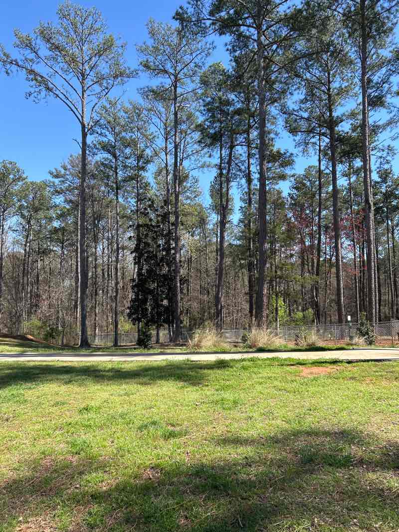 walking near me in Chimney Park in spring