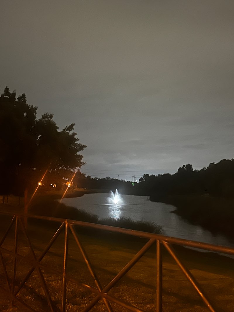 walking near me in Walker's Creek Park in winter