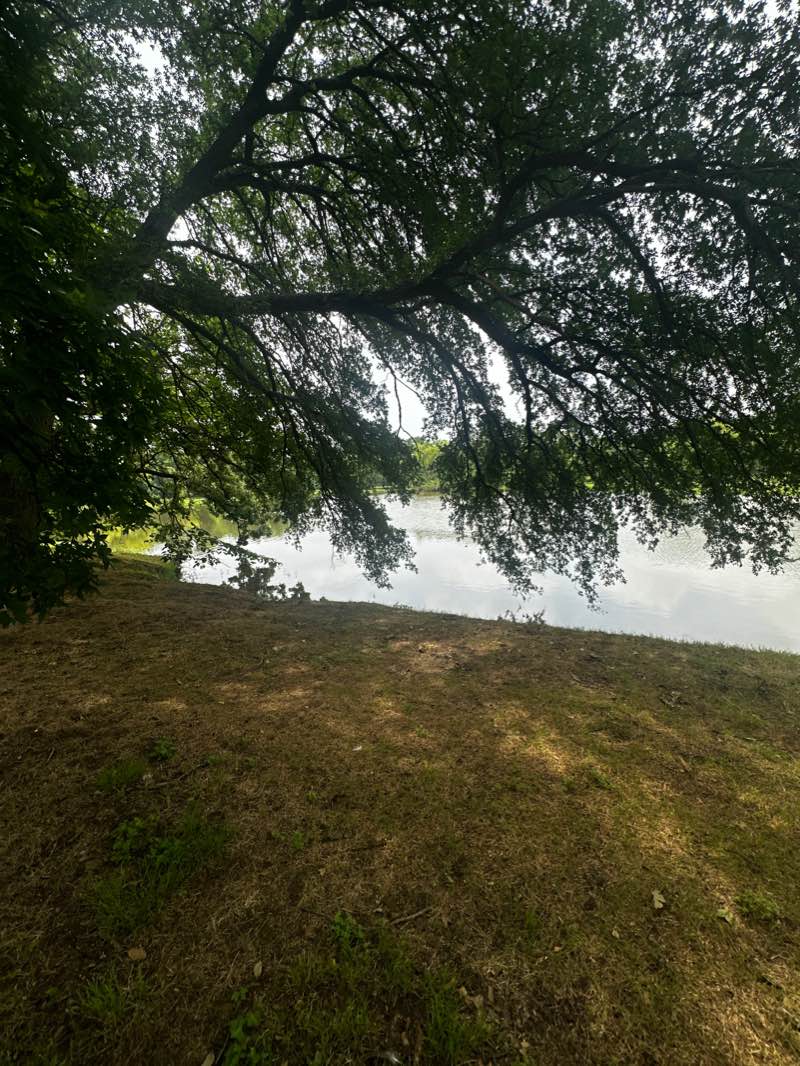 walking near me in Colleyville Nature Center in winter