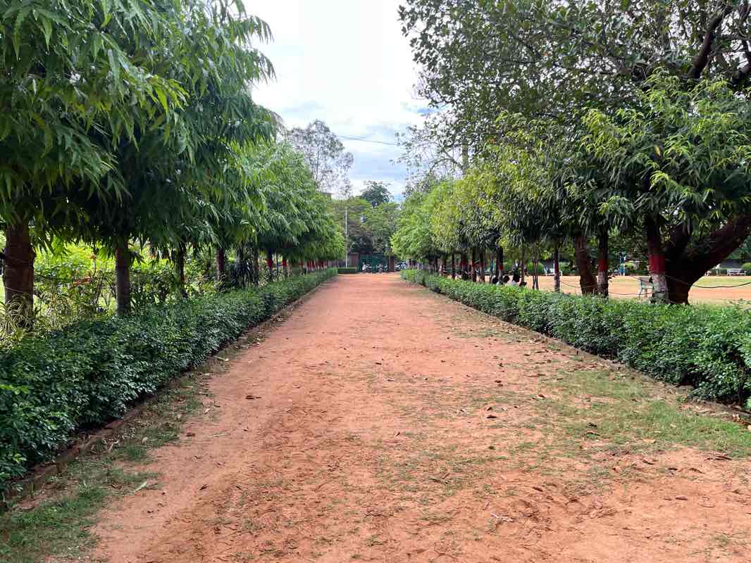 walking near me in IMFA Park in winter