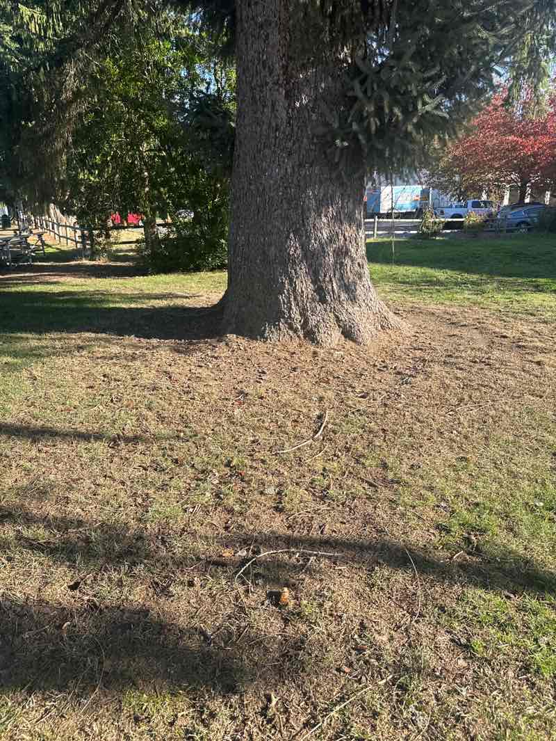 walking near me in Torguson Park in autumn