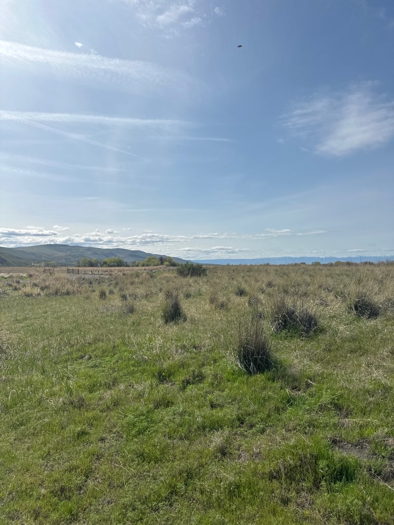 walking near me in Toppenish National Wildlife Refuge in spring