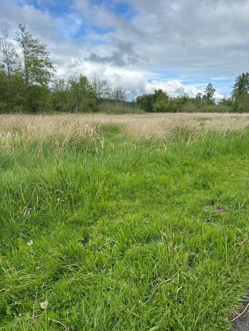 walking near me in Meadowbrook Farm in spring