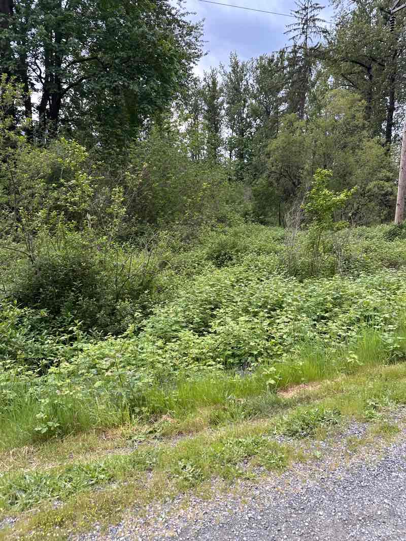 walking near me in Tollgate Farm in spring