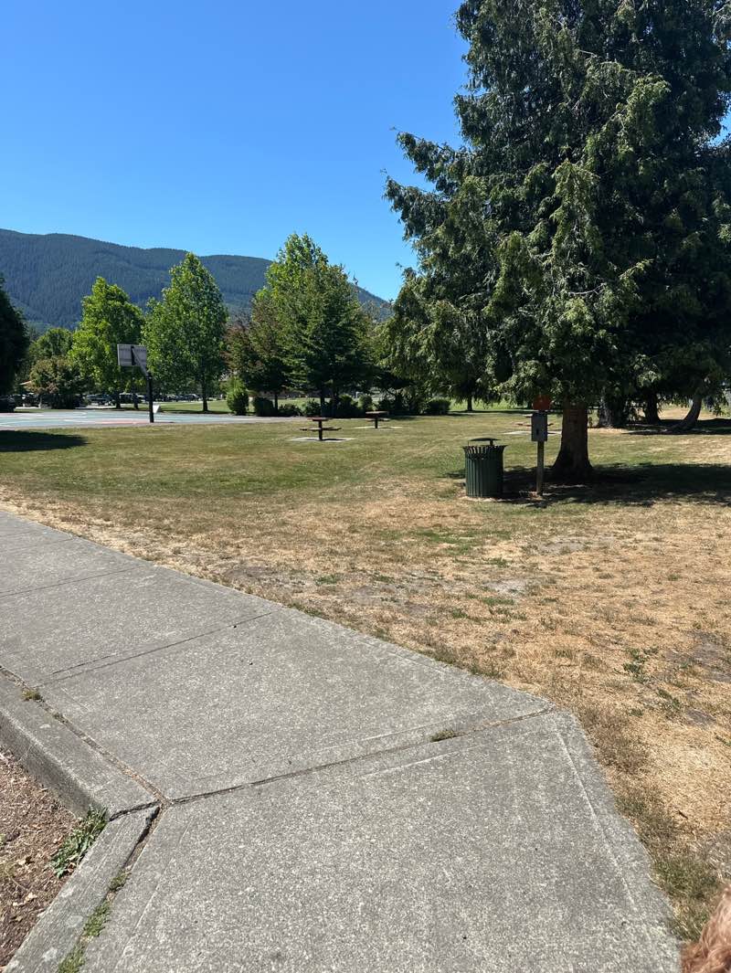 walking near me in Si View County Park in summer