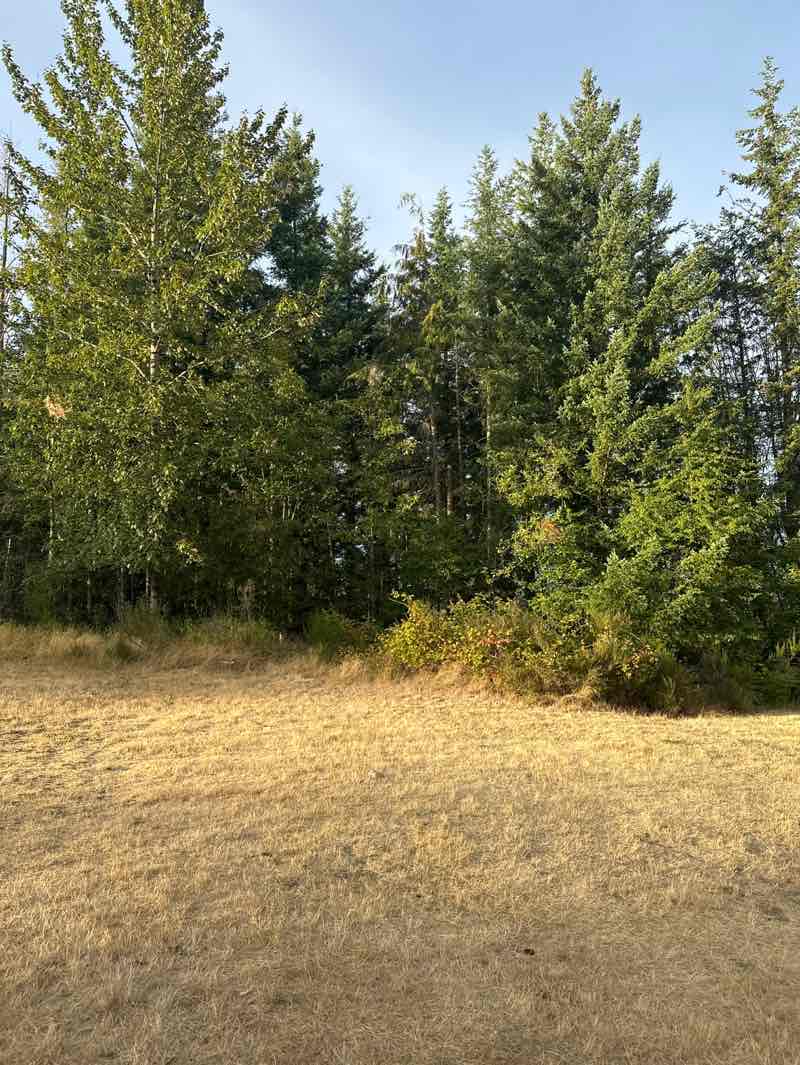 walking near me in Snoqualmie Point Park in autumn