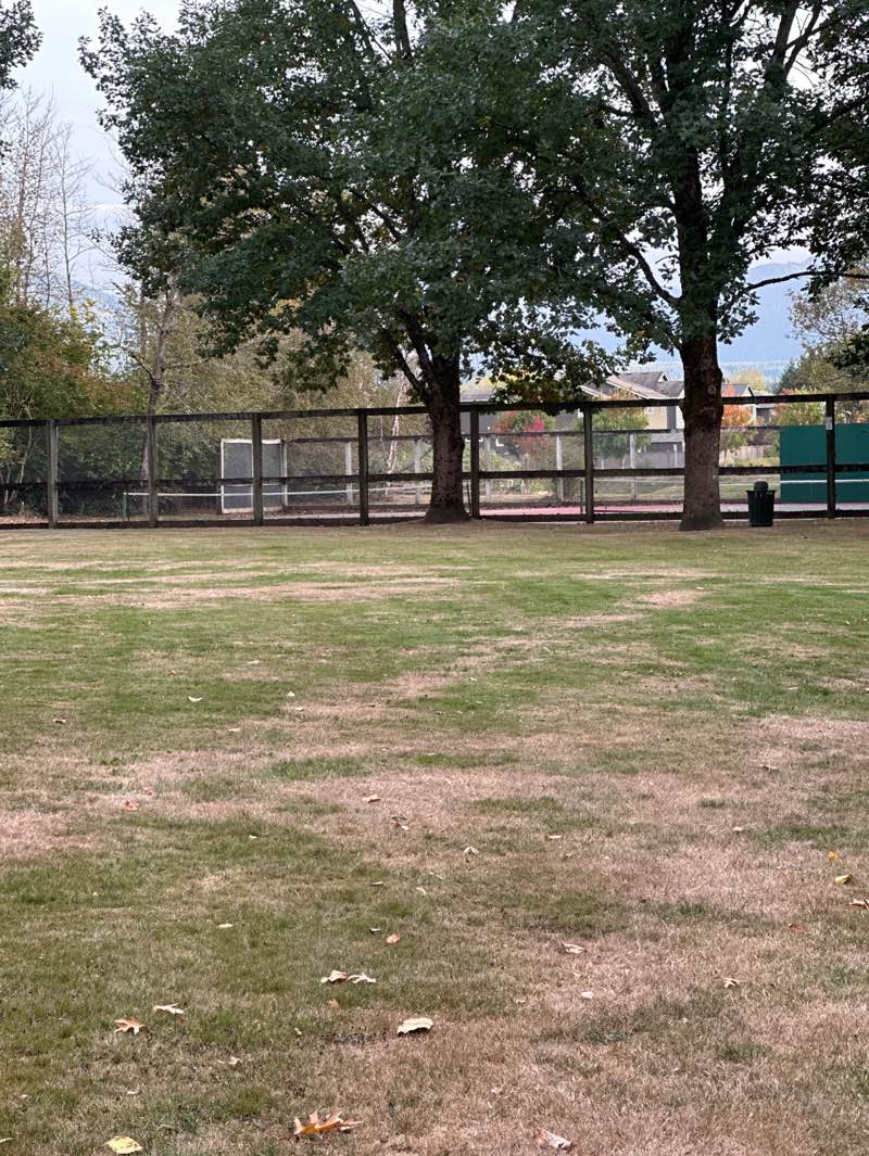 walking near me in E J Roberts Park in autumn