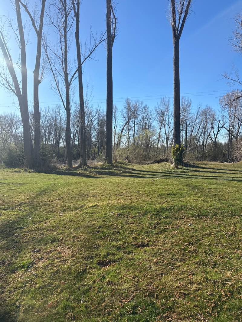walking near me in Kristin Armstrong Municipal Park in spring