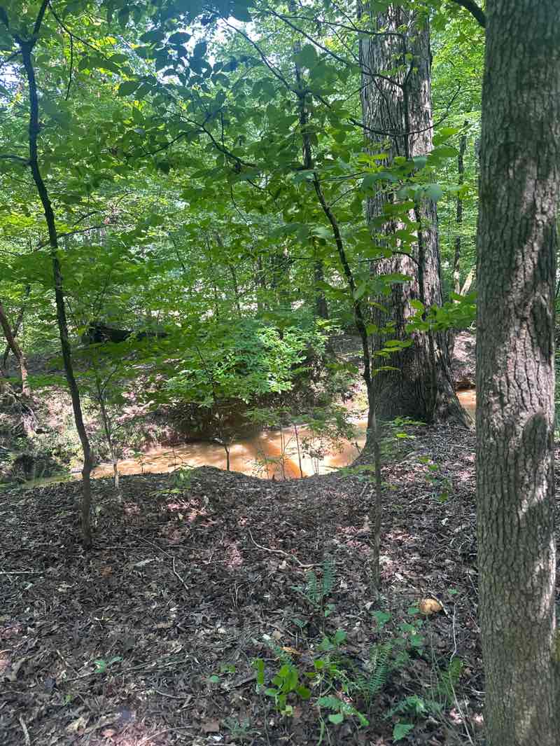 walking near me in Sweetwater Creek State Park in summer