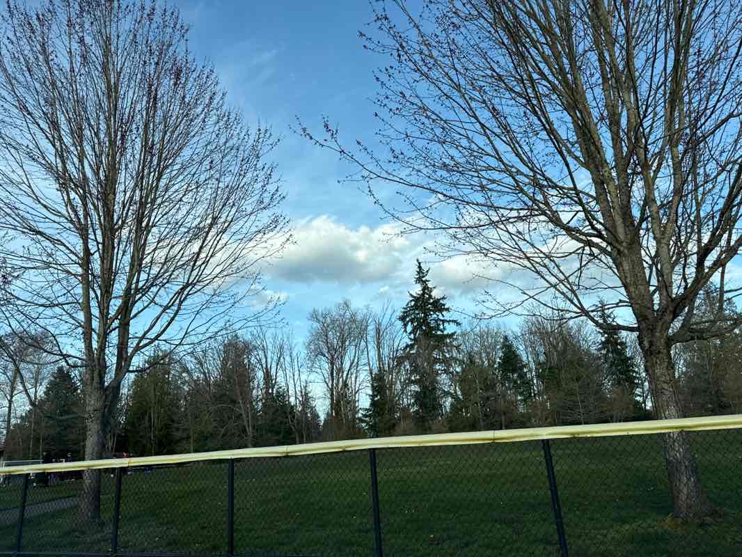 walking near me in Martha Lake Airport Park in spring