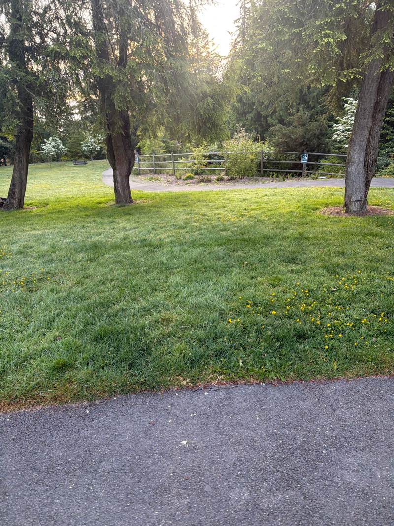 walking near me in Westside Park in summer