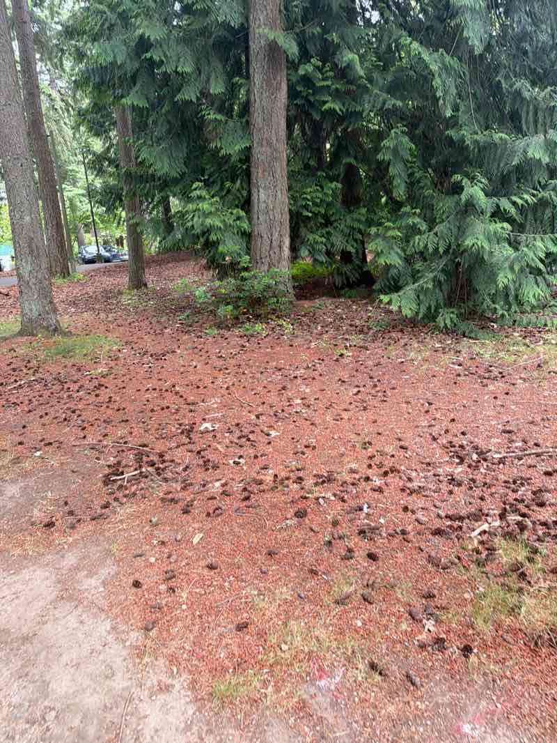 walking near me in Jonathan Hartman Park in summer