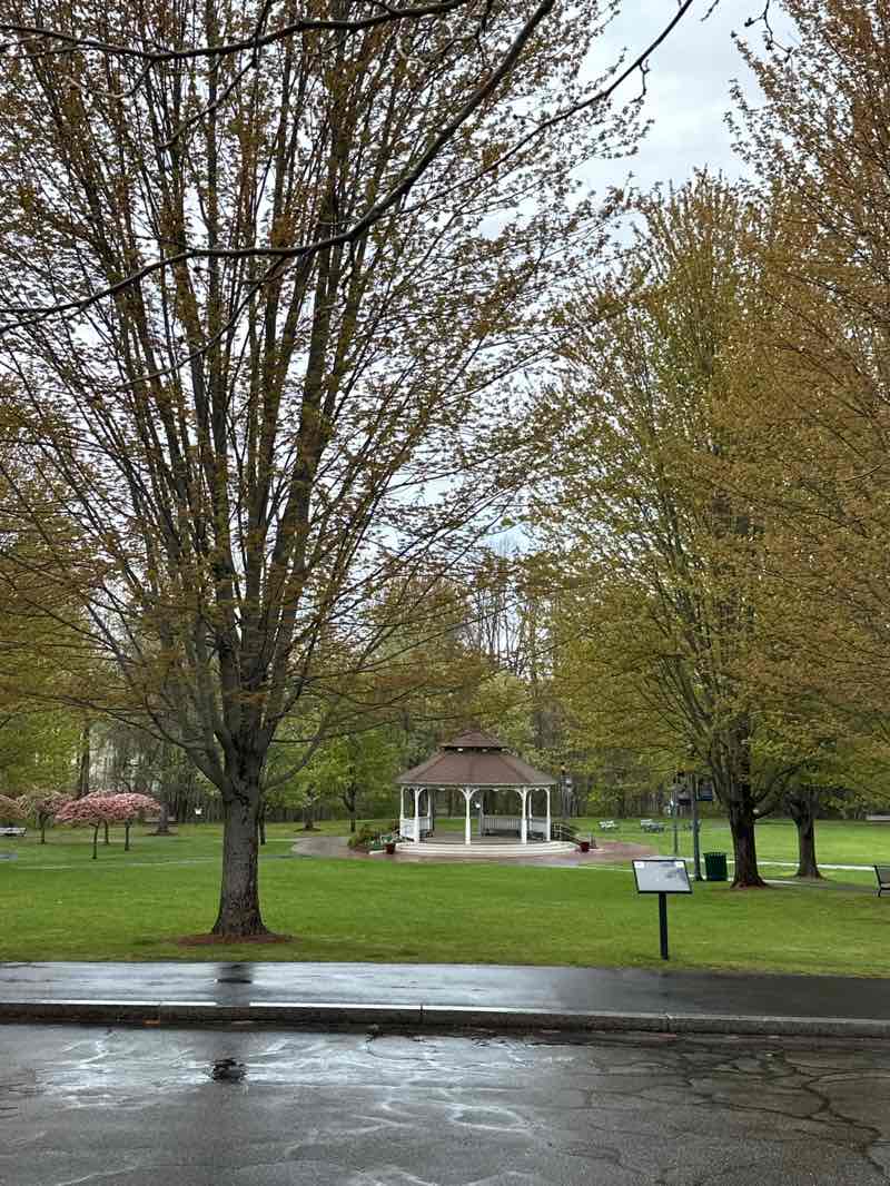 walking near me in Bellingham Town Common in spring