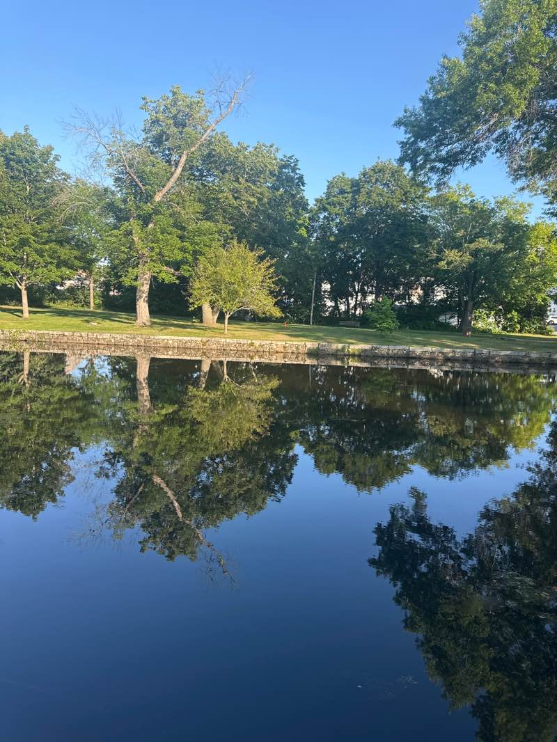 walking near me in Meeting House Pond in summer