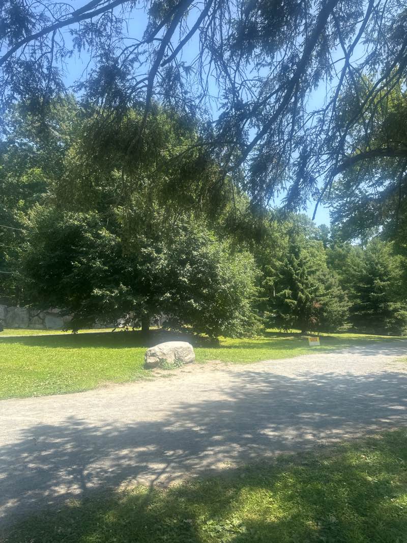 walking near me in Lippitt Memorial Park in summer
