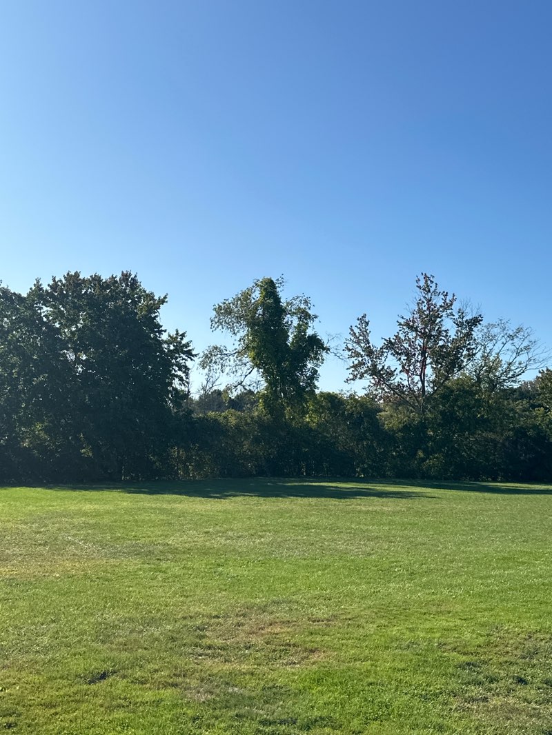 walking near me in Glover Meadows in autumn