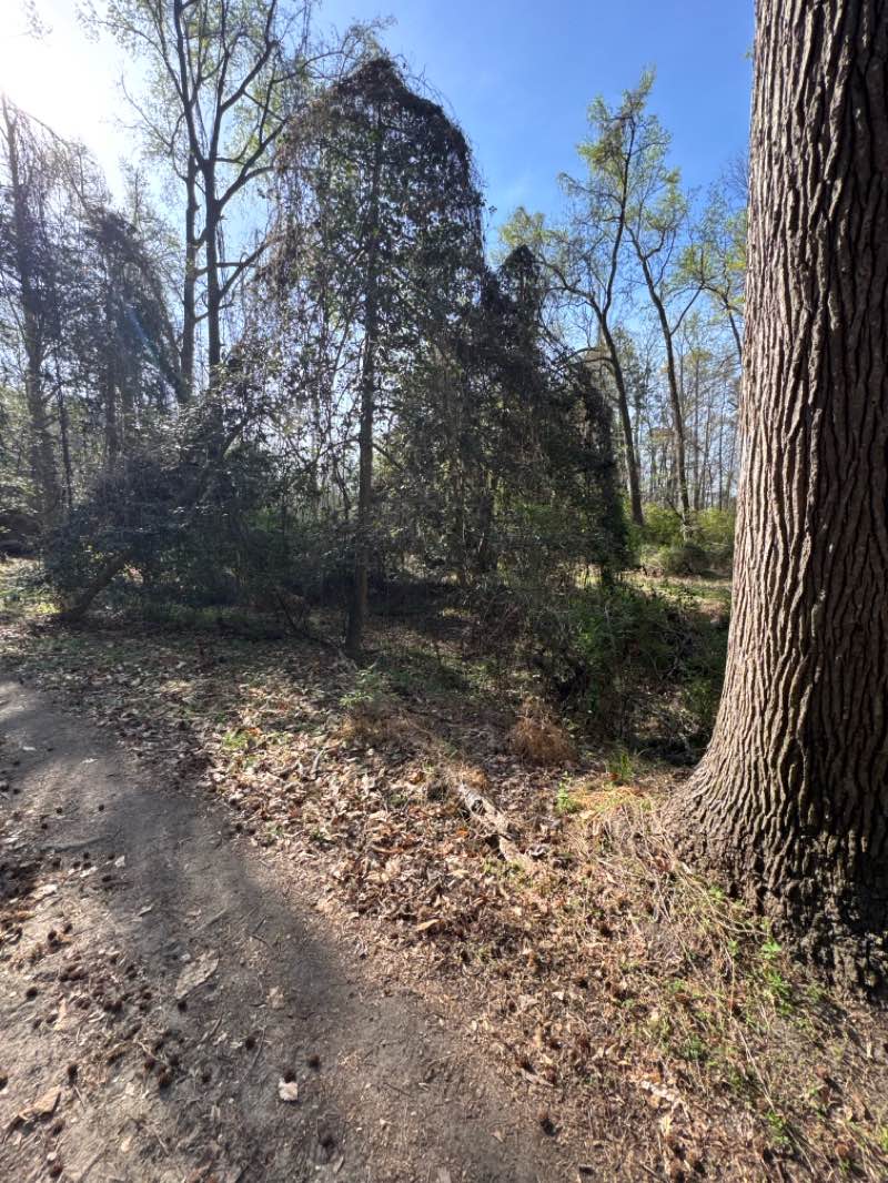 walking near me in Point of Rocks Park in spring