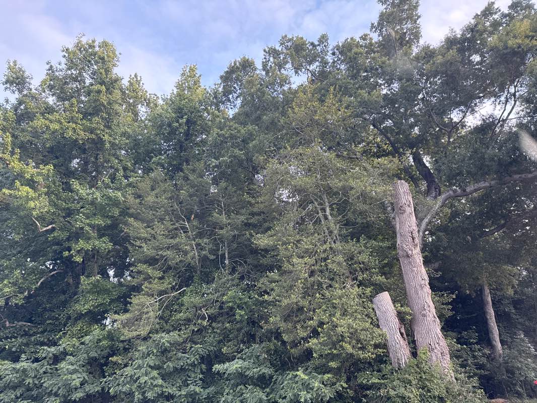 walking near me in Point of Rocks Park in summer