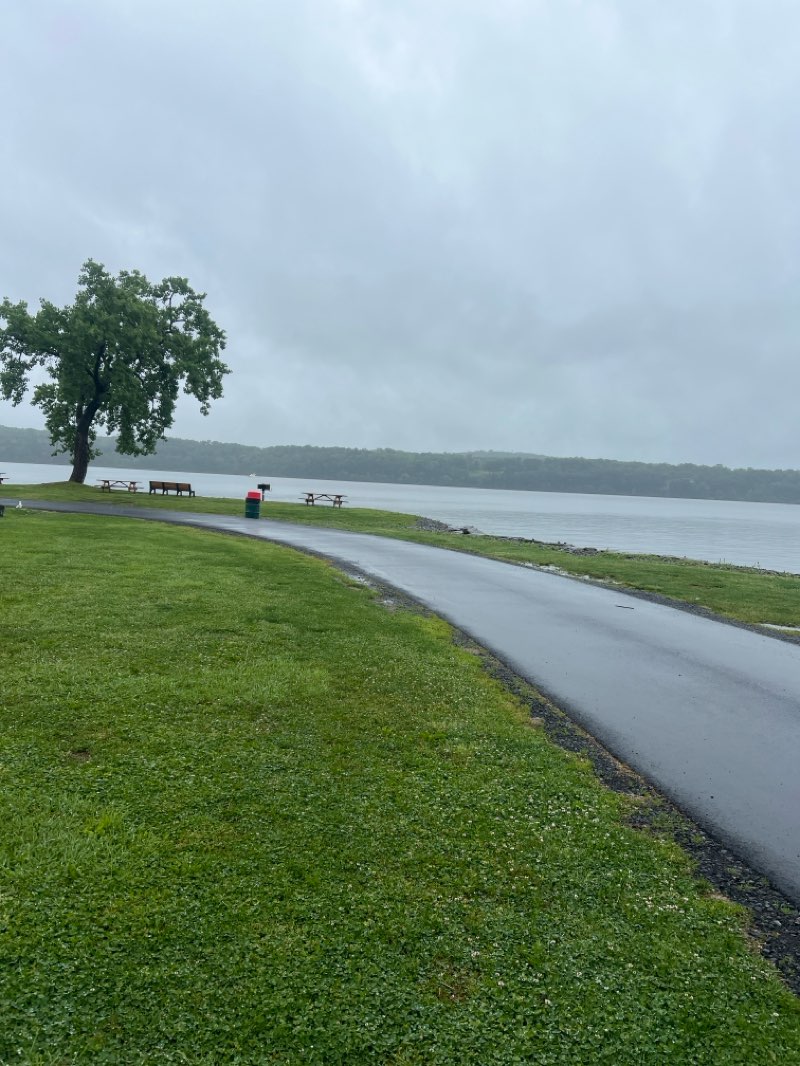 walking near me in Robert E. Post Memorial Park in summer