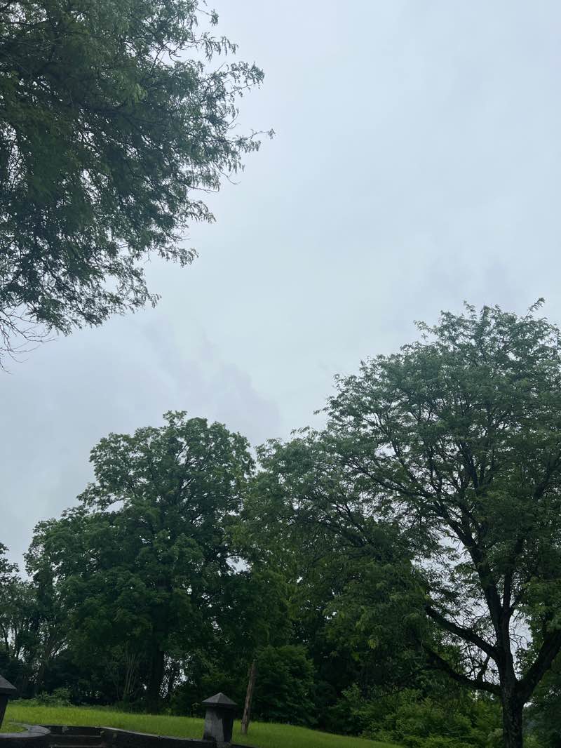 walking near me in Cornell Park in summer