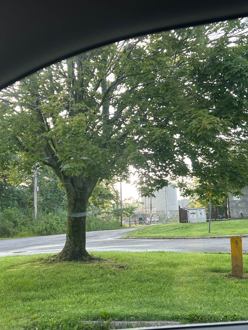 walking near me in Kingston Point Park in summer
