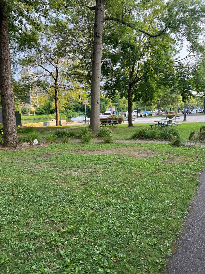 walking near me in T.R. Gallo Park in summer