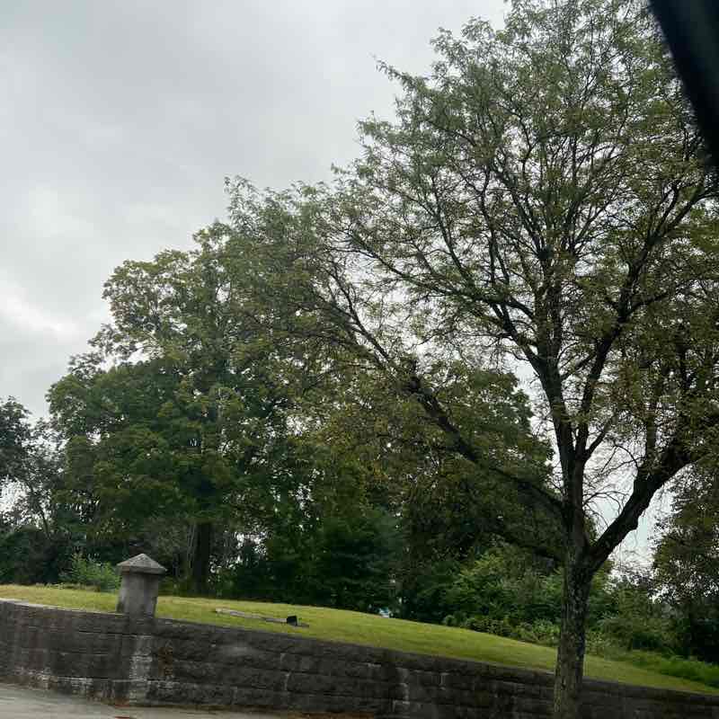 carmelina.m.dewitt 🌊🏒🥎🥊🐡💕 post 2