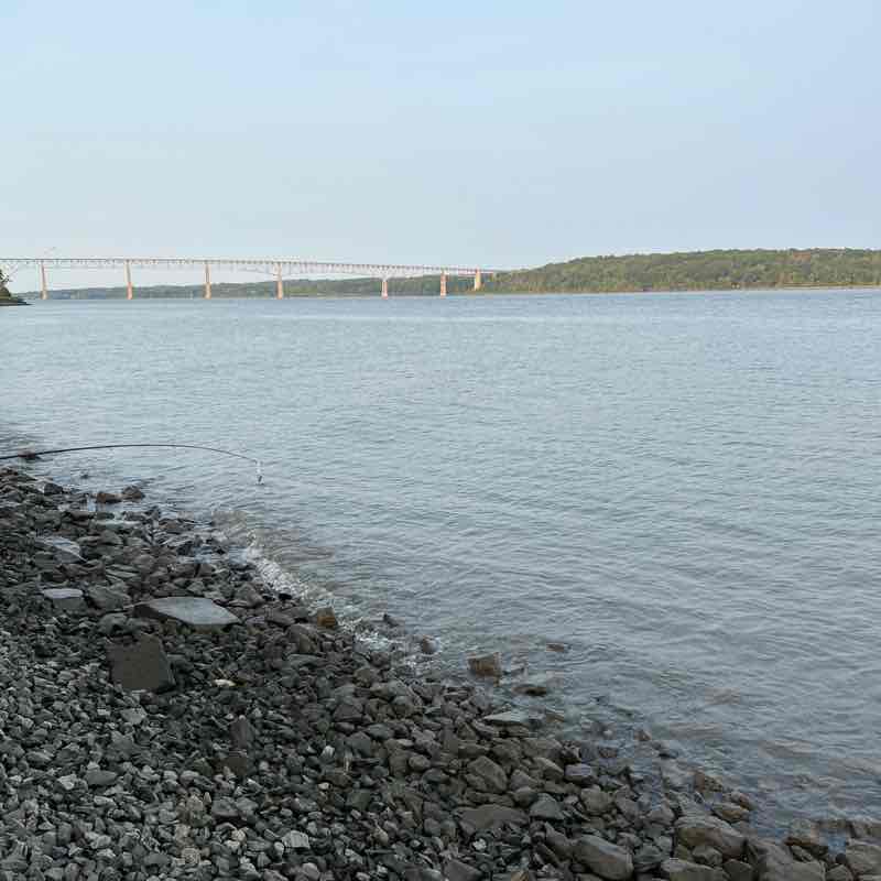 carmelina.m.dewitt 🌊🏒🥎🥊🐡💕 post 2