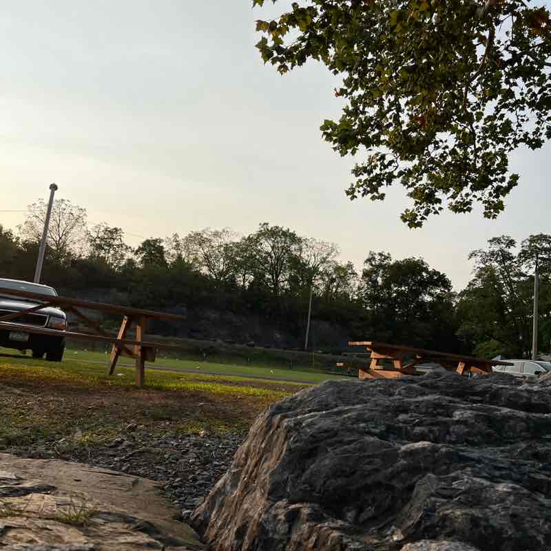 carmelina.m.dewitt 🌊🏒🥎🥊🐡💕 post 1