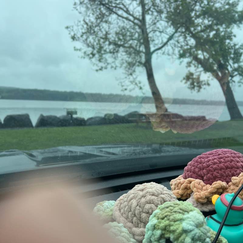 carmelina.m.dewitt 🌊🏒🥎🥊🐡💕 post 2