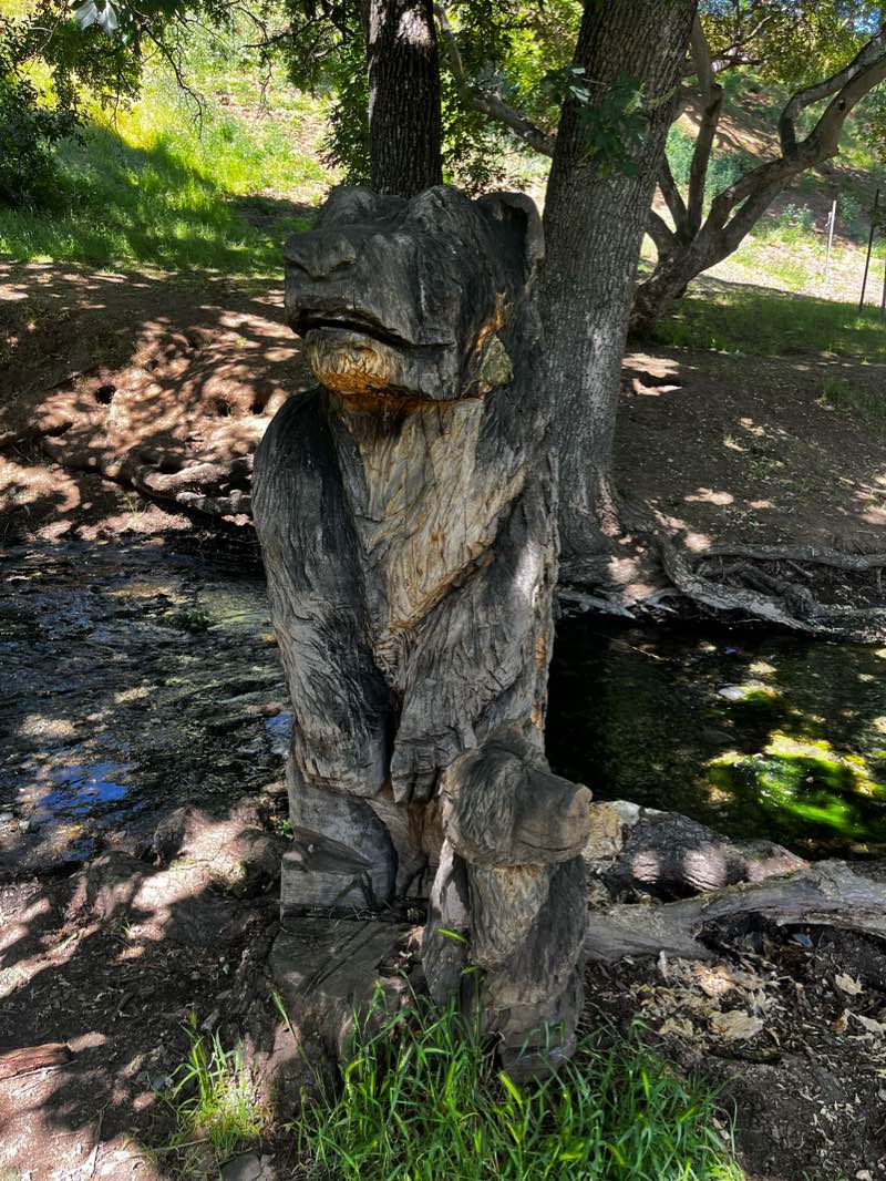 walking near me in The Grove in winter