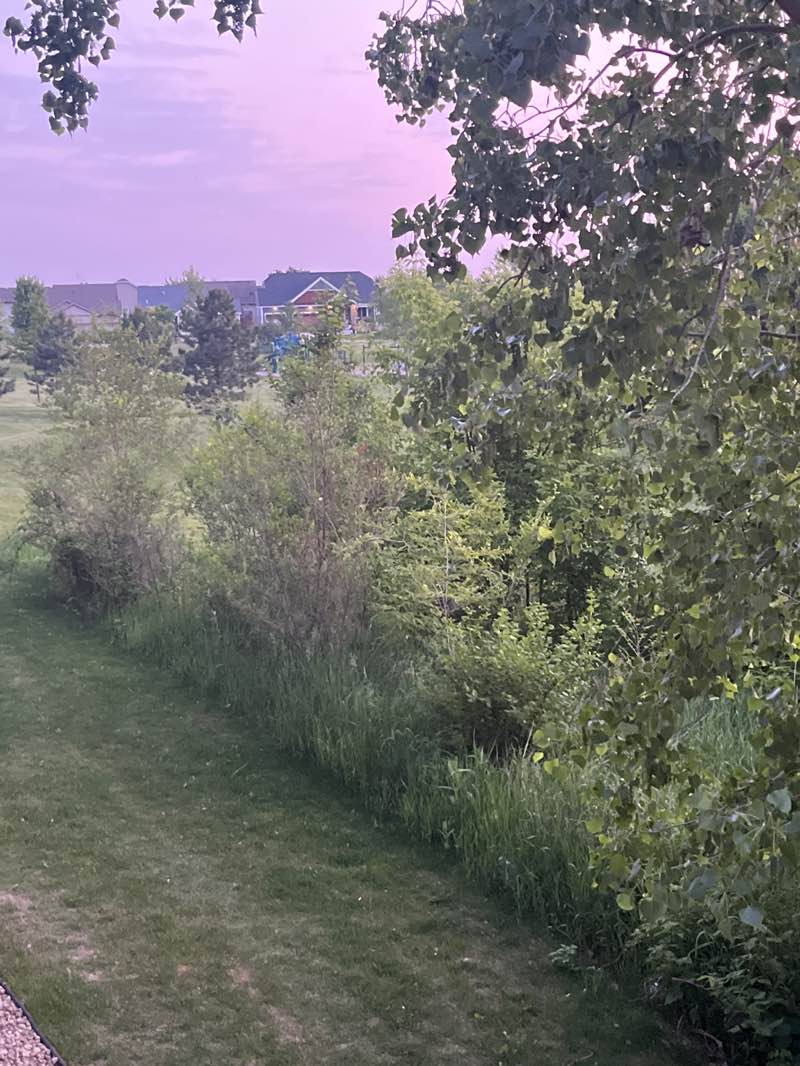 walking near me in North Commons Park and Community Garden in summer