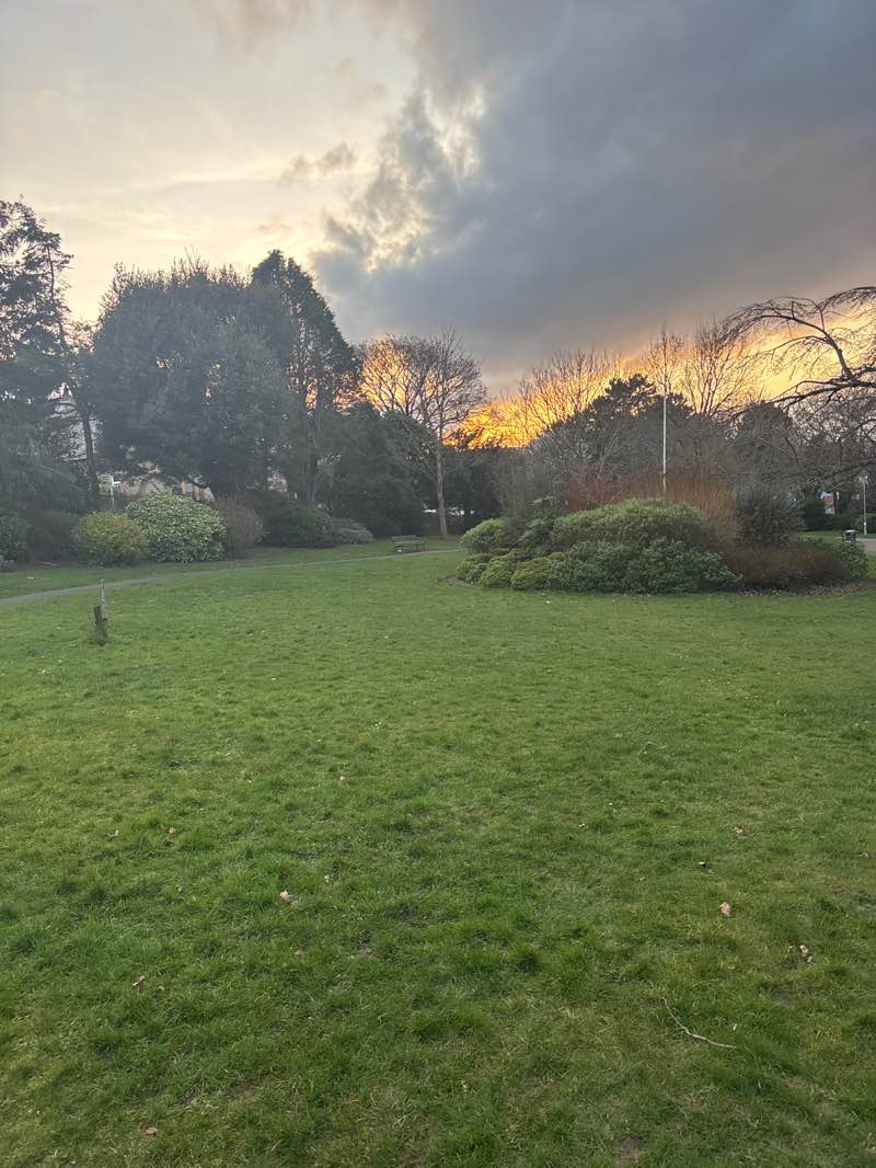 walking near me in Wynn Gardens in winter