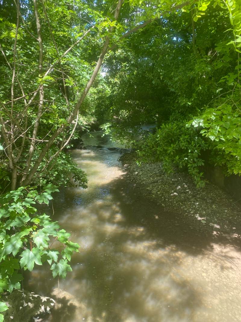 walking near me in Parc Bertrand in winter
