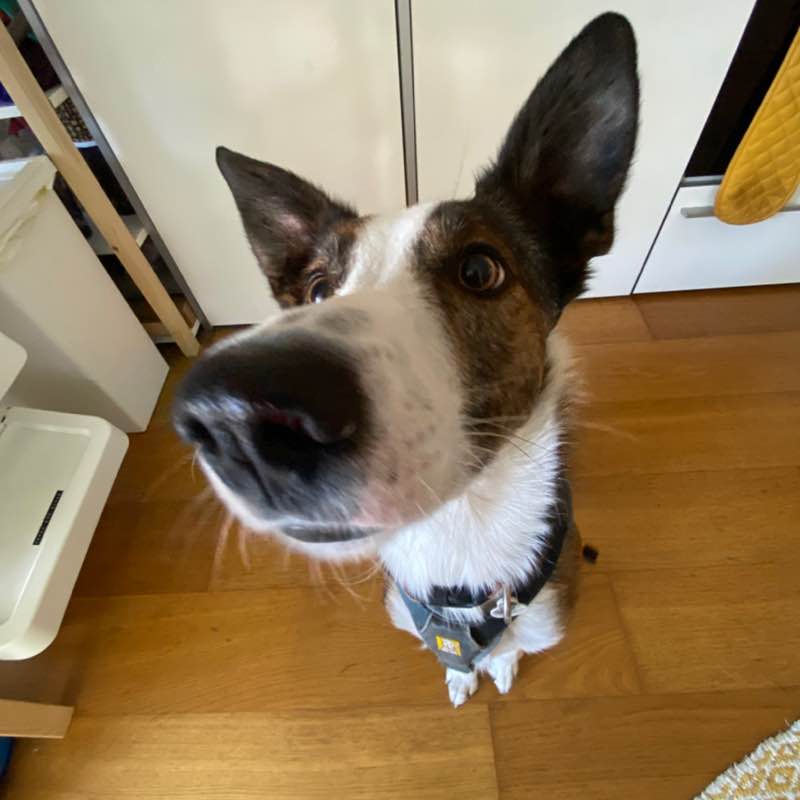 Megan-Rose Davies post 1