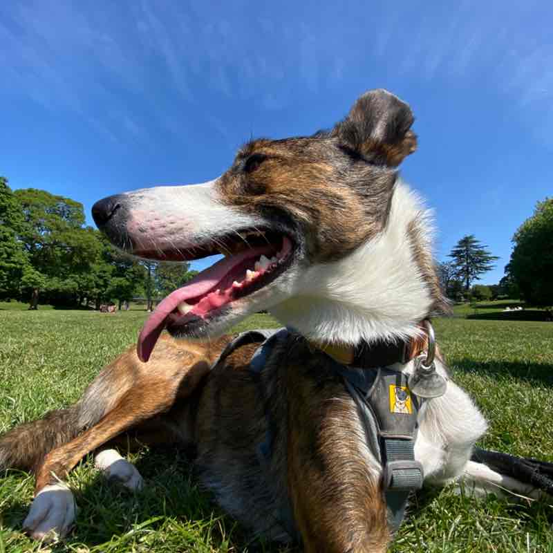 Megan-Rose Davies post 2