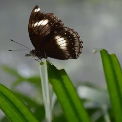 BB STEPATHON 2024 Shakeel Ahmad post image