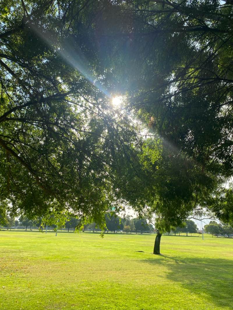 walking near me in Walking Park in autumn