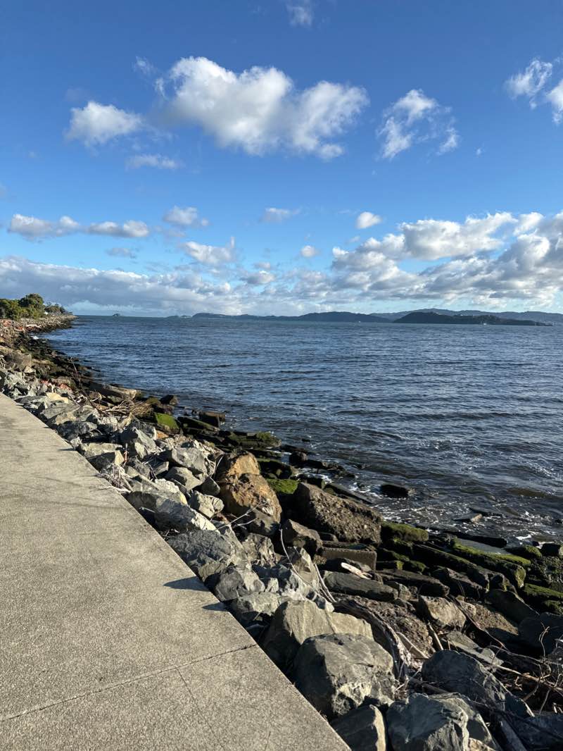 walking near me in Ludlam Park in summer