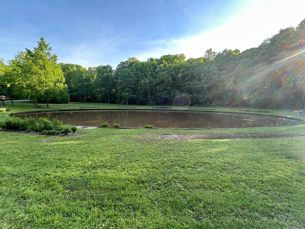 walking near me in Crofton Park in winter