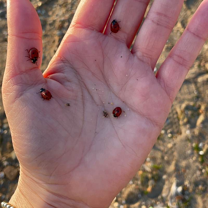 Ходьба вместо лекарств Казамбиева 1/7 post image