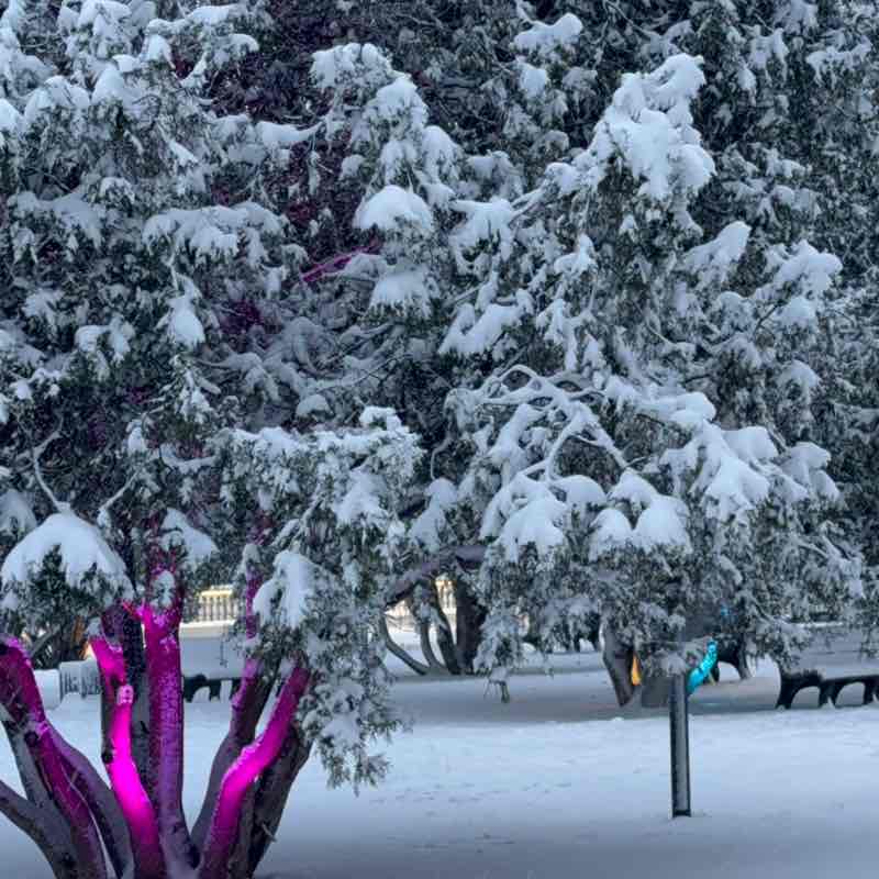 Клуб 5 утра Казамбиева 1/7 post image