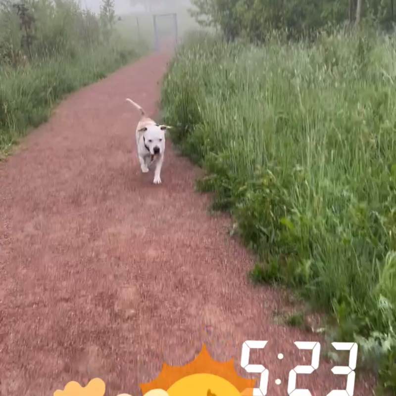 Kviberg Park Hotell Linda Holmgren post image