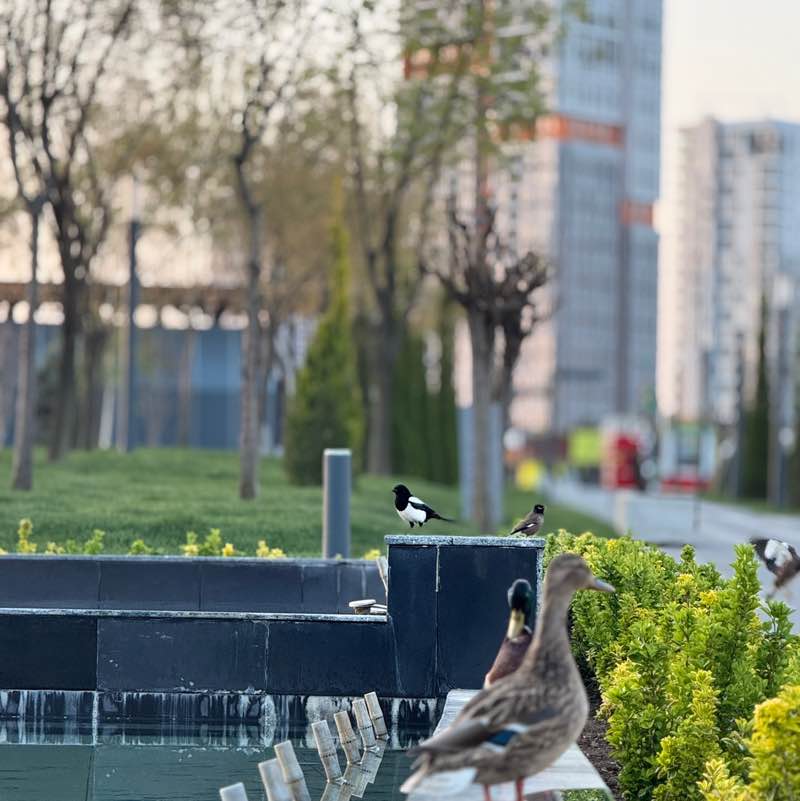 СТРОЙНЕЕМ и БОГАТЕЕМ Ольга Абдуллаева|Номер 1 по ЦЕЛЯМ post image