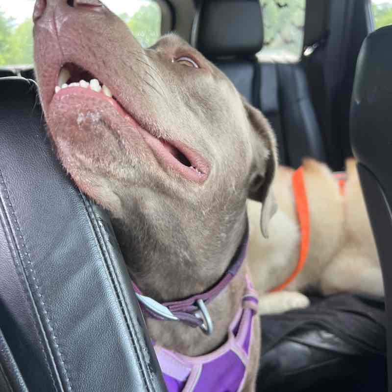 Amy post 2