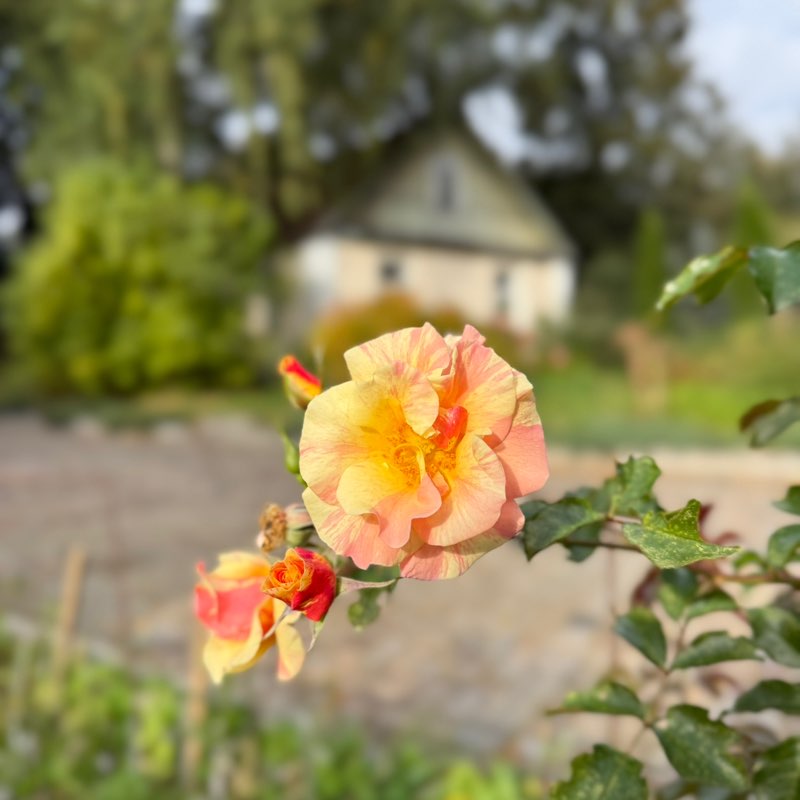 🏃♂️Долгопрудный 🏃♀️🌏 Max_o_k post image