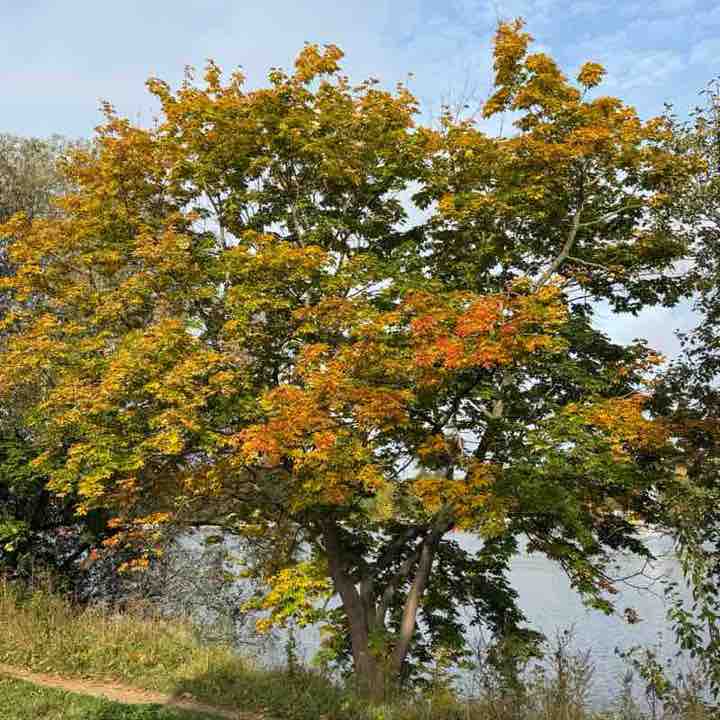 🏃♂️Долгопрудный 🏃♀️🌏 Max_o_k post image