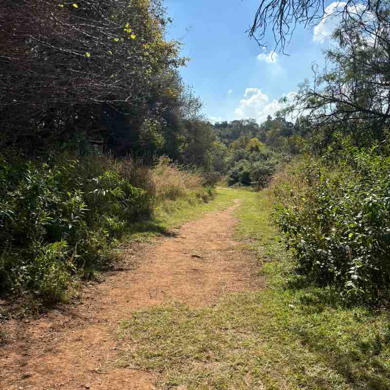 Estee Lauder Walking Challenge Christerbella Mashigo post image